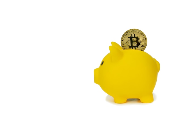 Save crypto currency in piggy bank concept Investment for business