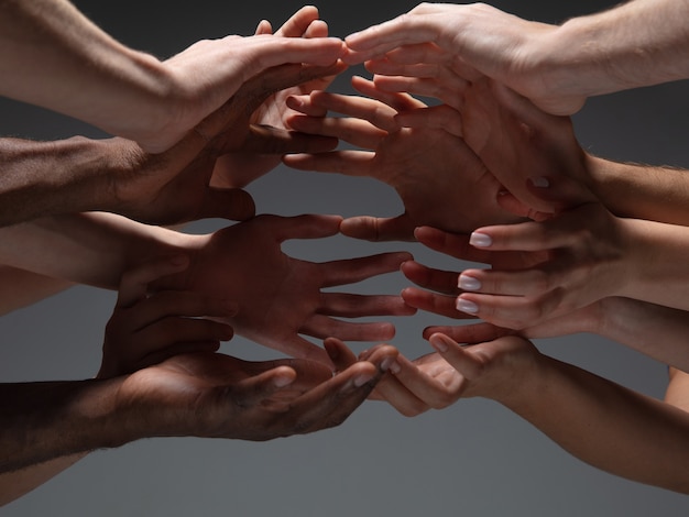 Foto salva. le mani dei corvi della gente in contatto isolato su sfondo grigio studio. concetto di relazione umana, comunità, solidarietà, simbolismo. tocco leggero e senza peso, creando un'unità.