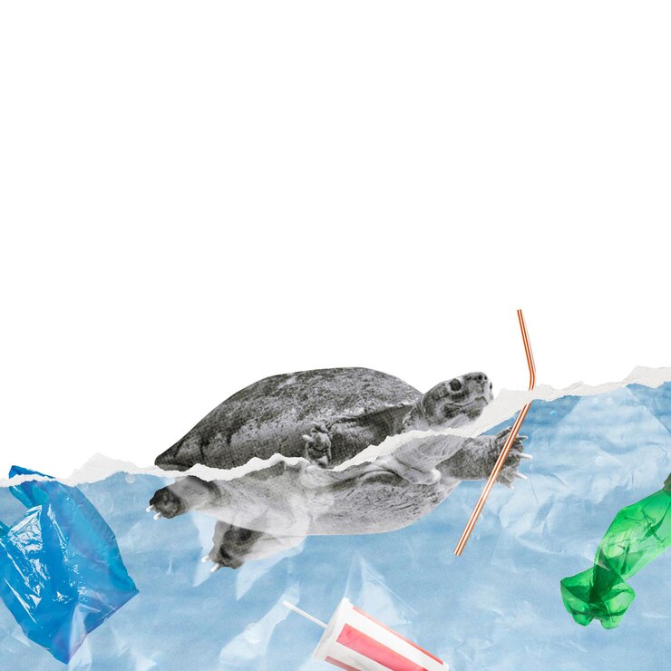 Photo save the ocean png border turtle swimming in garbage transparent background
