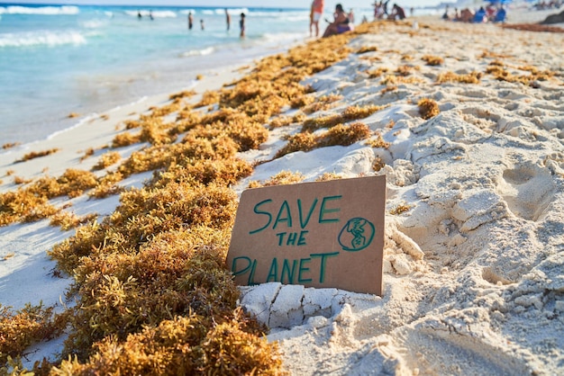 Photo save the planet sign with sergeant in the background in the caribbean