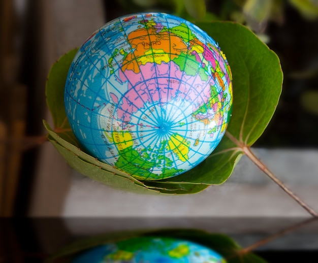 to save the world, to wrap the world with leaves.
