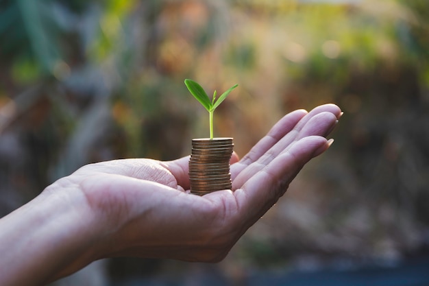 Saving money concept with hand holding money coin stack. 