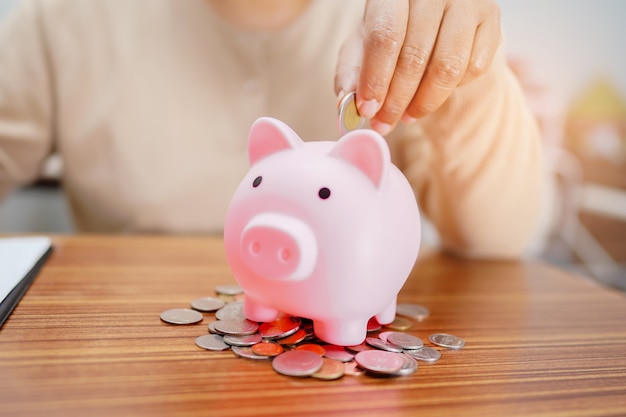 Saving money, put coin in pink piggy bank : finance concept.