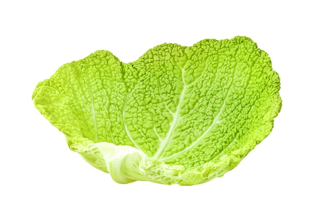 Savooikool gegolfd groen gescheiden afzonderlijk blad close-up geïsoleerd op een witte achtergrond met uitknippad