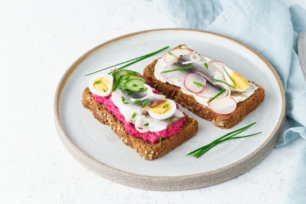 Savory smorrebrod, two traditional Danish sandwiches. Black rye bread with anchovy, beetroot