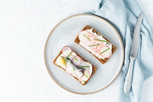 Savory smorrebrod, two traditional Danish sandwiches. Black rye bread with anchovy, radish, eggs, cream cheese on grey plate on white stone table, copy space