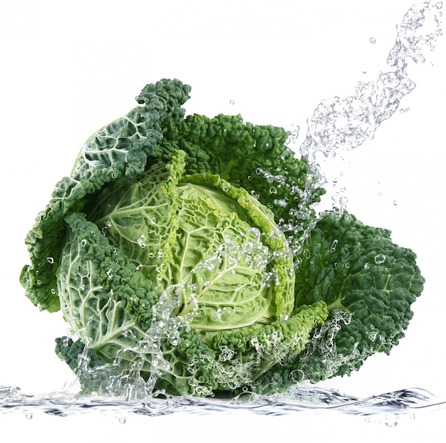 Savoy cabbage falling in water