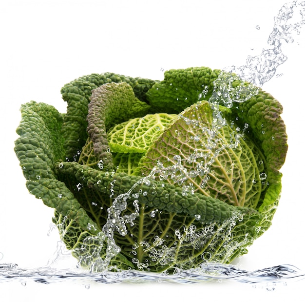 Savoy cabbage falling in water