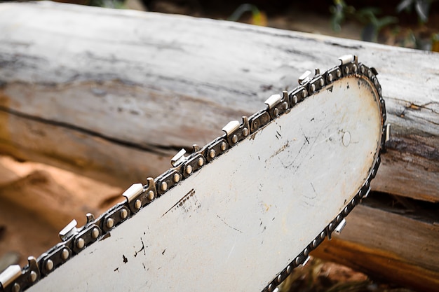  Saw blade for cutting timber