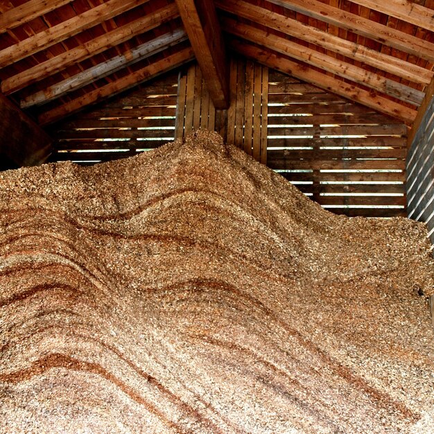 Sawdust shed