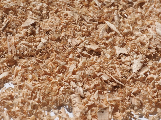 Sawdust wood dust