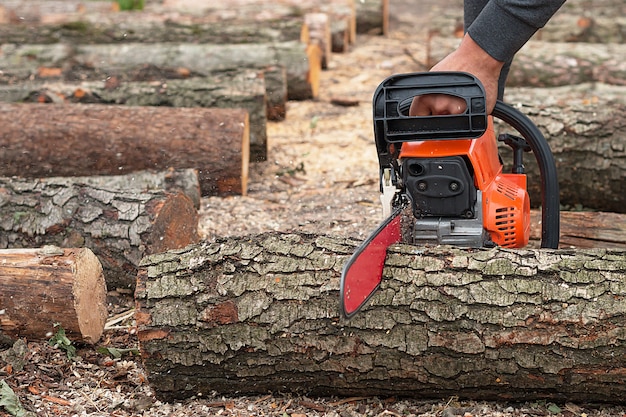 Sawing a tree with a chainsaw.