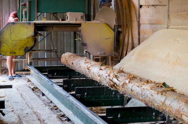 Sawmill. Process of machining logs in equipment sawmill machine saw saws the tree trunk on the plank boards. Wood sawdust work sawing timber wood wooden woodworking