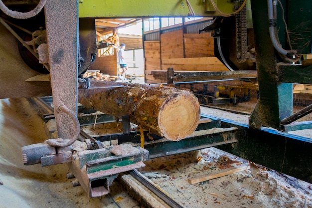 Sawmill. Process of machining logs in equipment sawmill machine saw saws the tree trunk on the plank boards. Wood sawdust work sawing timber wood wooden woodworking