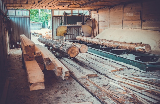 sawmill-process-of-machining-logs-in-equipment-sawmill-machine-saw-saws