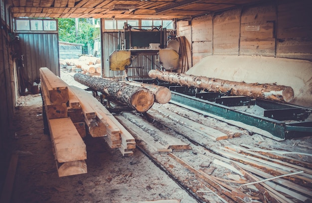 Sawmill process of machining logs in equipment sawmill machine saw saws the tree trunk on the plank