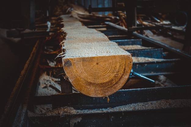 Пиловарный процесс обработки бревен в оборудовании Пиловарная машина пила ствол дерева на доске