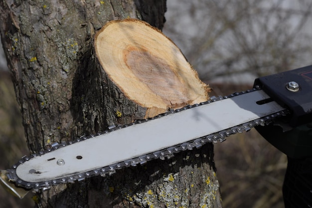 sawn electric sawing tree