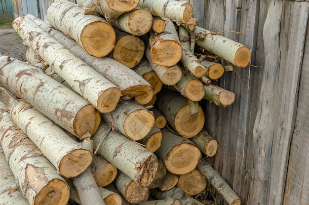 Sawn trees are stacked in the yard.