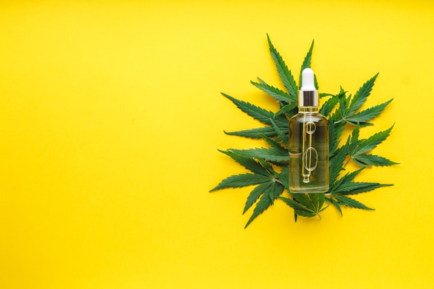 Sbd oil hemp serum in glass dropper bottle on cannabis leaves cannabis leaf with skincare cosmetic product on yellow background with copy space