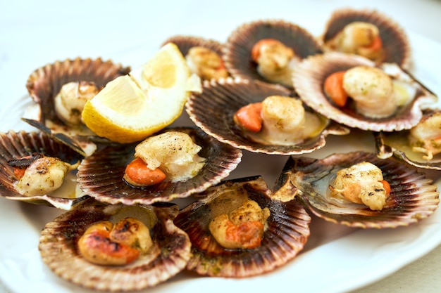 Scallops cooked on a white plate.