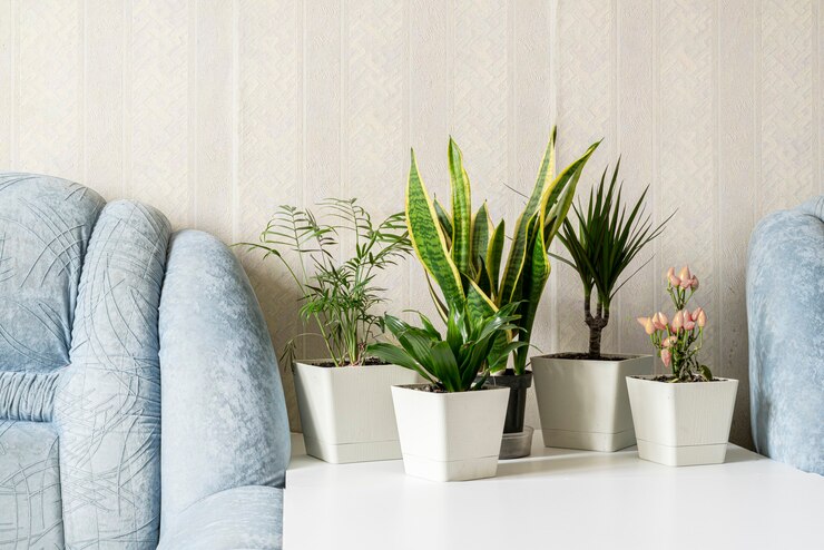 Photo a scandinavian style home growing green plants garden on the shelf