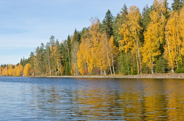 Scandinavisch de herfstlandschap