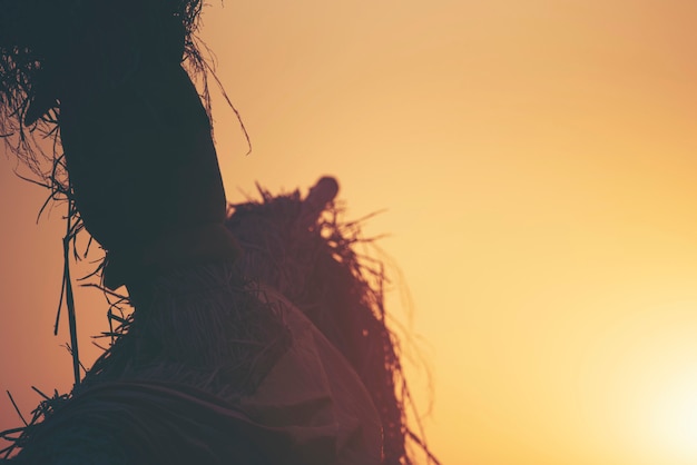 Scarecrow in the paddy rice field at sunset