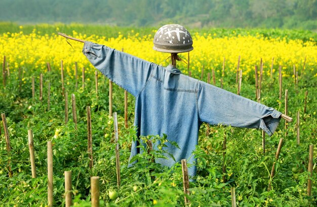 Spaventapasseri nella zona rurale del bangladesh