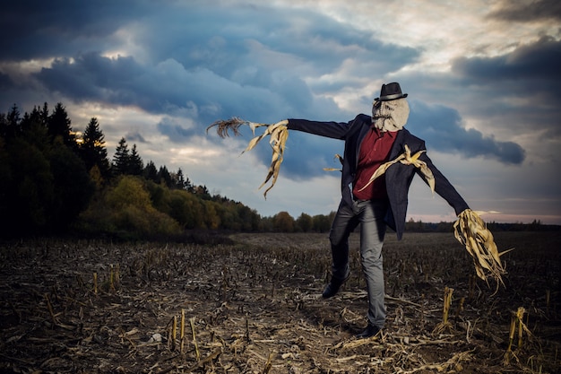 Scarecrow stands in the autumn field against the evening sky