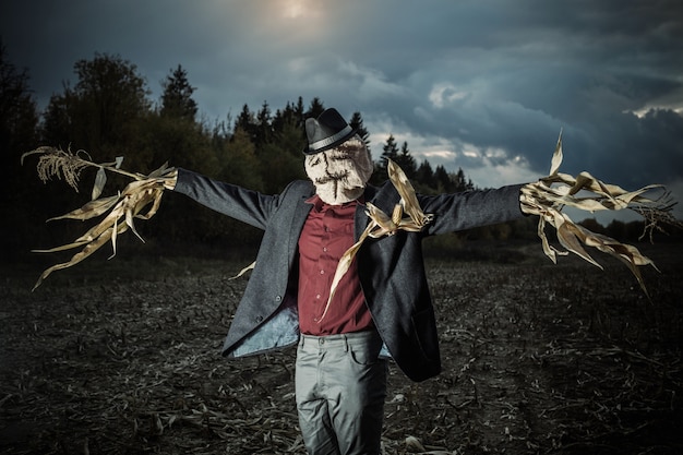 Scarecrow stands in the autumn field in night