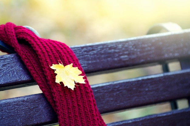 Scarf on a bench in the garden