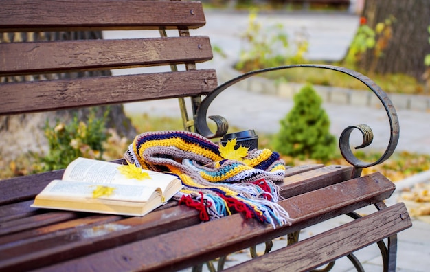 Scarf on a bench in the garden