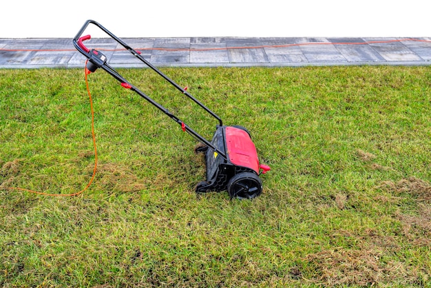 Photo scarifying the lawn before the winter season using an electric scarifier