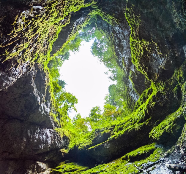 Photo scarisoara ice cave