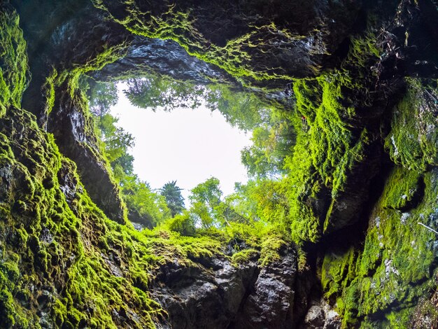 Scarisoara ice cave