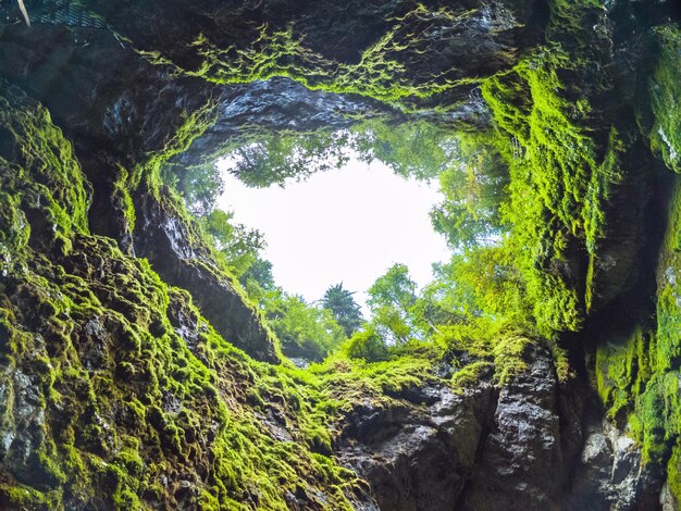 Photo scarisoara ice cave