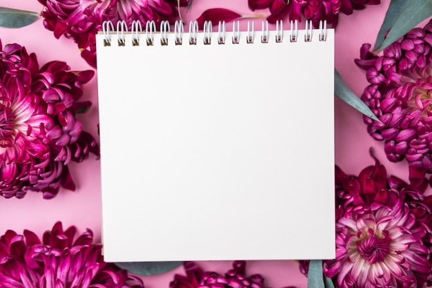 scarlet flowers  on a pink background