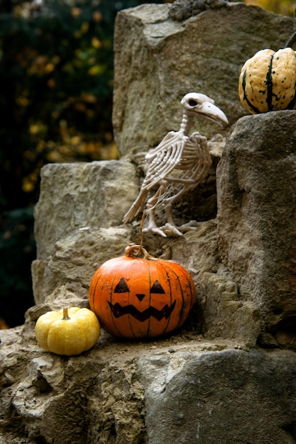 Scary Halloween pumpkin Jackolantern in the park