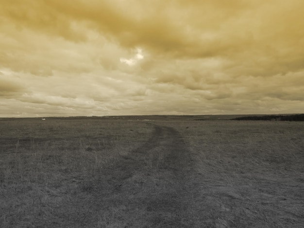 Scary photos of fields clouds and trees