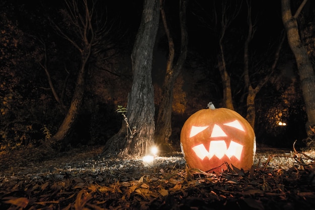 Scary pumpkin in the forest