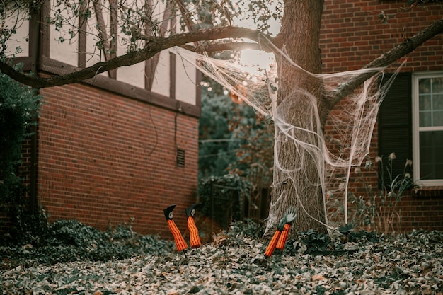 Foto spaventose decorazioni da giardino di halloween