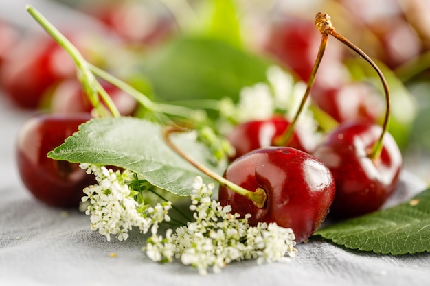 Scattered berries and cherry leaves on a wooden white background