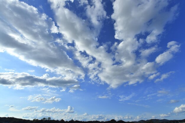 写真 散らばった雲