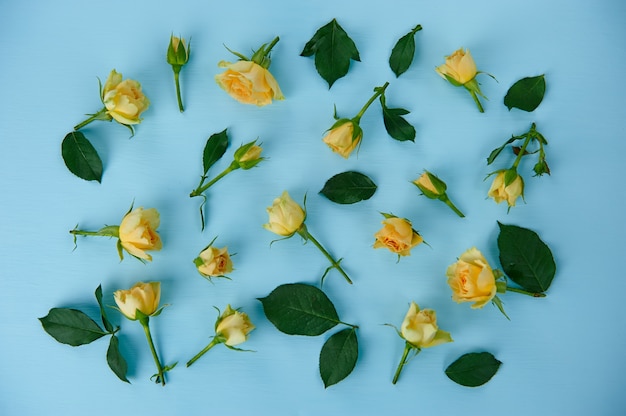 Scattered yellow roses on a blue surface