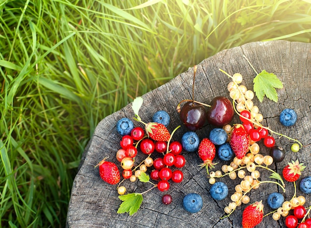 a scattering of summer berries on an old wooden saw among the green grass