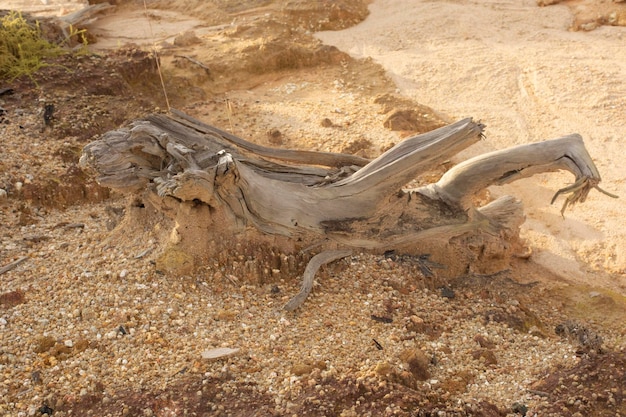 scene around the deserted land due to deforestation and earth mining