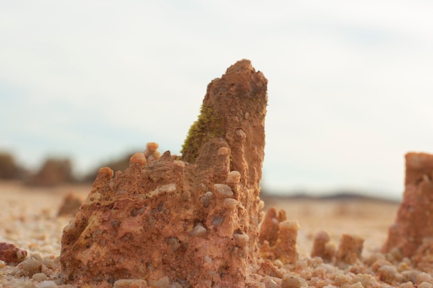 scene around the deserted land due to deforestation and earth mining