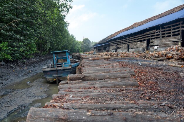 Scene of mangrove logs outside the charcoal factory shed