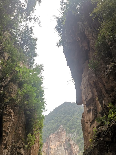 石灰岩の丘の斜面の周囲に生い茂る植物の風景